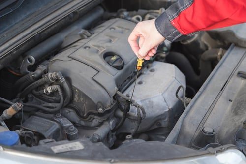 Oil & Filter Change